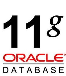 Oracle Standard Edition Named User Plus License with Software Update License & Support