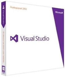 Microsoft Visual Studio Professional OLP