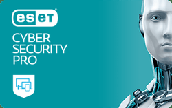 ESET Cyber Security Pro на 1 рік ПОНОВЛЕННЯ 4 об'єкта