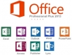 Microsoft Office Professional Plus Open License (OLP)